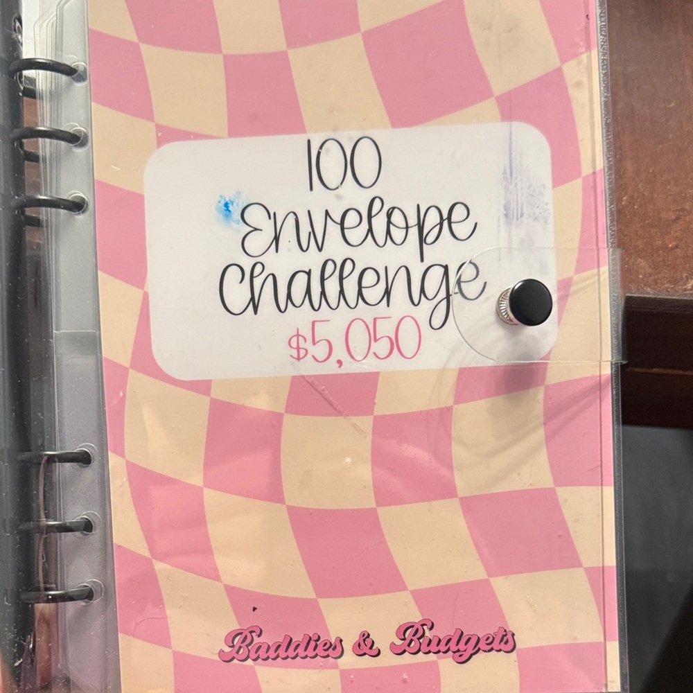 Pink 100 Envelope Challenge Organizer